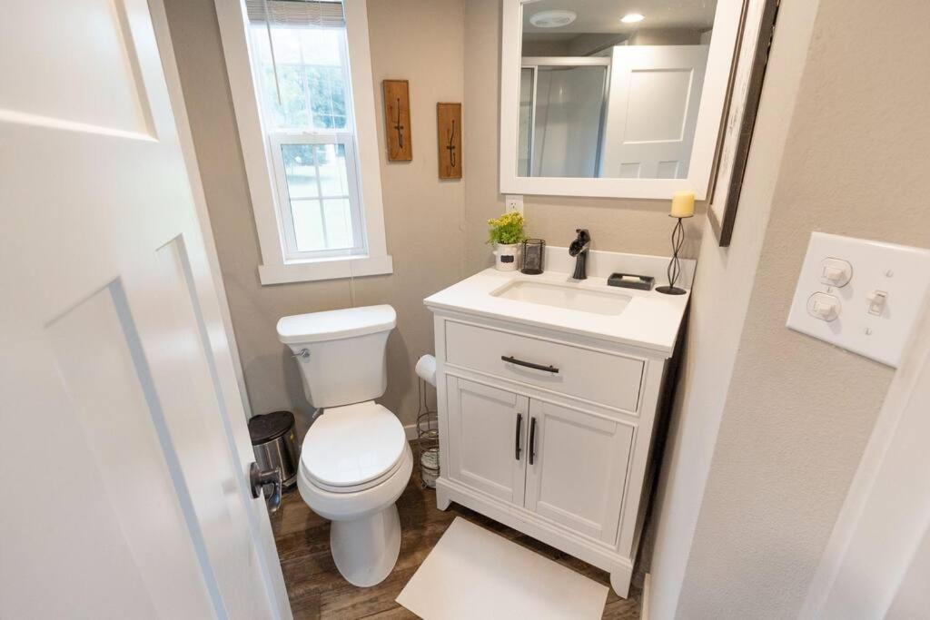 Pet Friendly Tiny House Rental With New Access To Guadalupe River Nbtx 뉴 브라운펠스 외부 사진