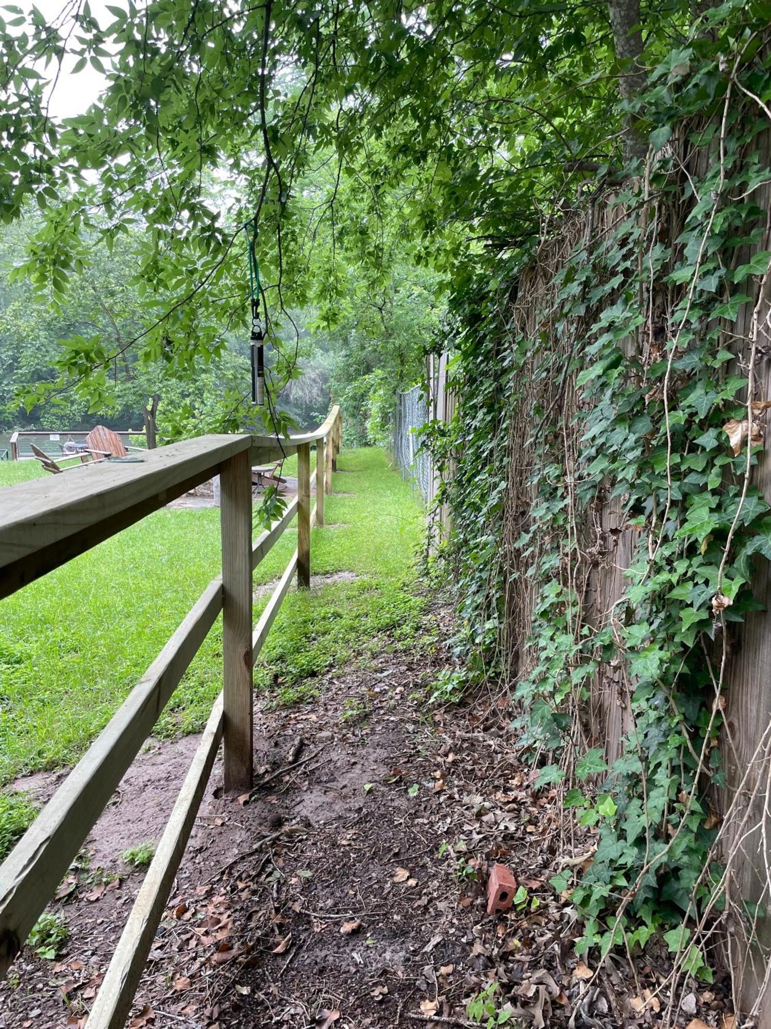 Pet Friendly Tiny House Rental With New Access To Guadalupe River Nbtx 뉴 브라운펠스 외부 사진
