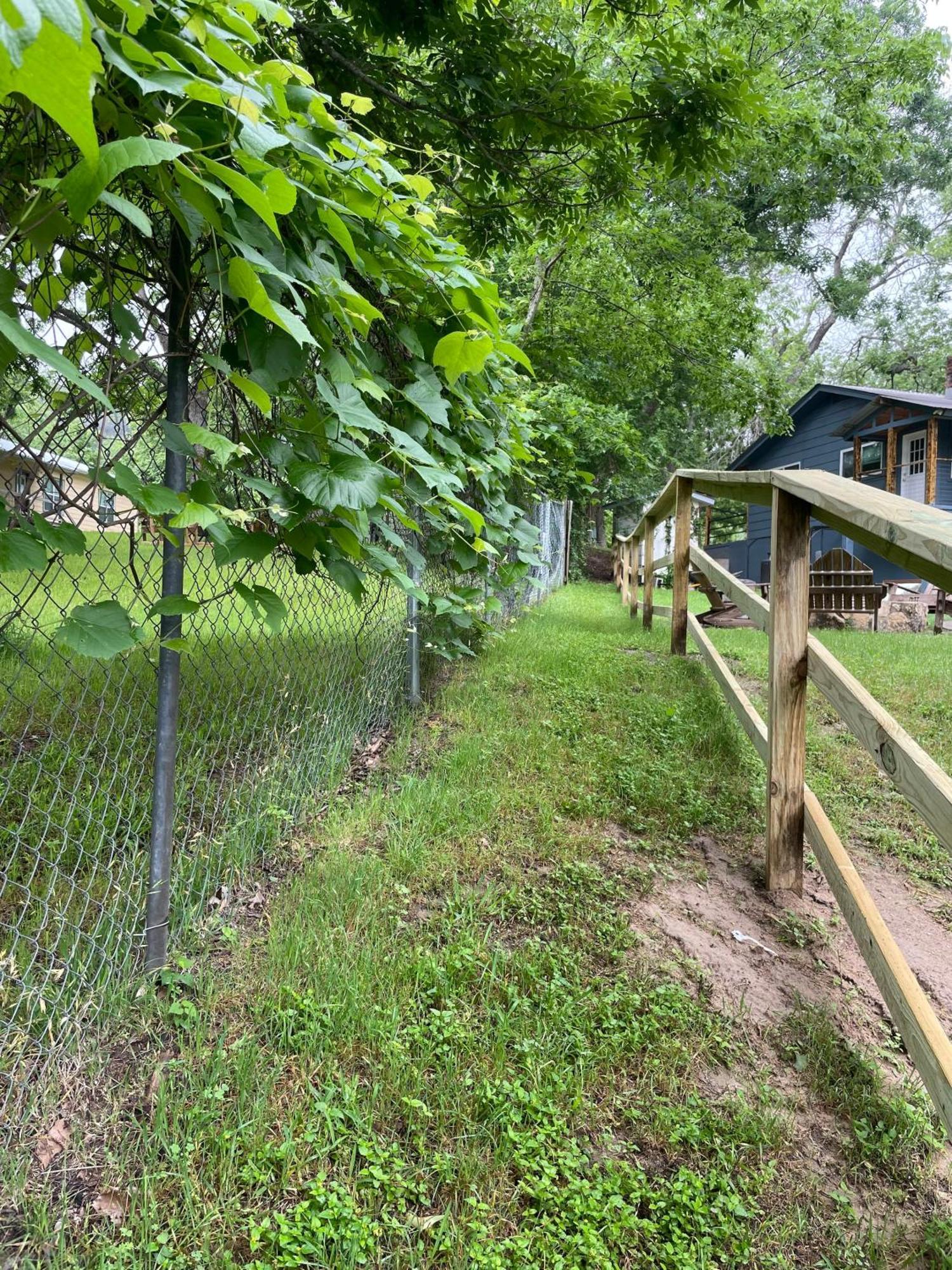 Pet Friendly Tiny House Rental With New Access To Guadalupe River Nbtx 뉴 브라운펠스 외부 사진